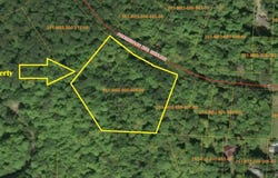 15119 PROMENADE DES SKIEURS, WOLVERINE, MI 49799