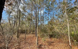 Adolph Kemp Rd, Greenville, FL 32331