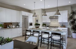 121 Campion, Irvine, CA 92618