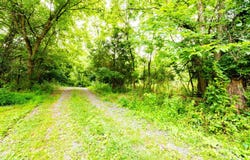 312 JAMESTOWN Road, SUMMIT POINT, WV 25446