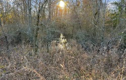 1624 Ln., Talihina, OK 74571