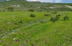 66 US HWY 30, Georgetown, ID 83239