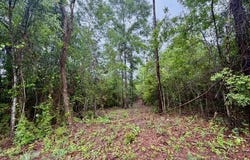 Mississippi 48, Magnolia, MS 39652
