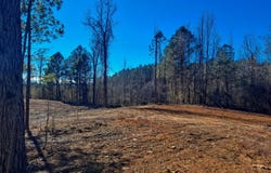 WILLIAMSTOWN Ln, Parrish, AL 35580