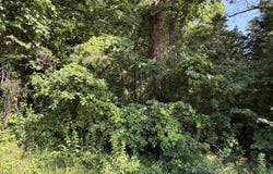 56 Highway, Brockwell, AR 72157