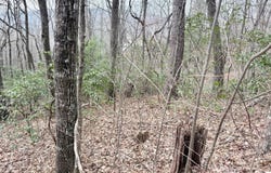 Monarch Lane, Clayton, GA 30525