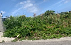 Perez Way, Tumon, GU 96913