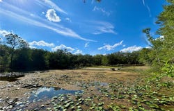 4819 NE 211TH Drive, EARLETON, FL 32631