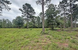 Old 63 N Highway, Lucedale, MS 39452