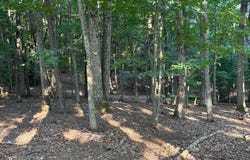 BROADHEAD SCHOOL RD, MIDDLEBROOK, VA 24459