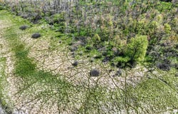 J Drive N, Marshall, MI 49068