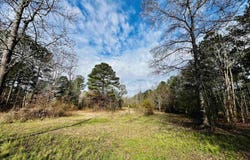 411 LAUNCH DRIVE, ASHVILLE, AL 35953