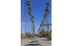 215 Altura Drive, Fullerton, CA 92835