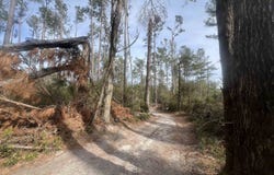 14th Trace, Live Oak, FL 32060