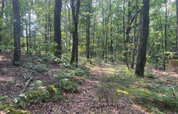 6927 Chaneysville Rd., PA 15535