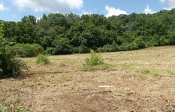 5.6ac Lonnie Reecer Rd, Celina, TN 38551