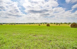 Orchard Road lot: 2 Tbd, Bowie, TX 76230