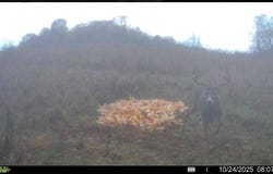 Tr 68a, Dresden, OH 43821