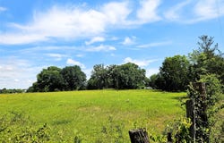 13 Acres Fm 39 S, Groesbeck, TX 76642