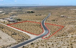 Wild, Helendale, CA 92342
