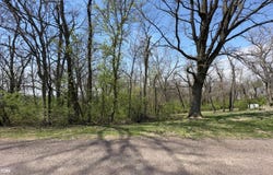 S bluff, Nauvoo, IL 62354