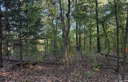 Skylark Road, Washburn, MO 65772