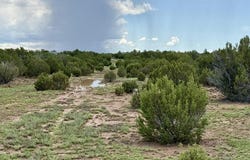116 Co Rd 8127, Concho, AZ 85924