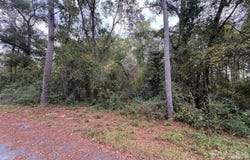ellen Drive, Hamlet, NC 28345