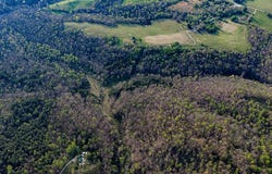 Vincent Road, Bee Spring, KY 42207
