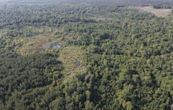 AREA 4 ROAD, Chatham, LA 71226