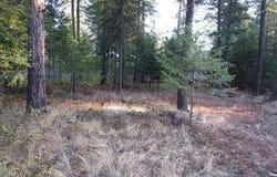 39 Forest Ridge Rd, Blanchard, ID 83804