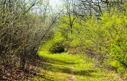 State Hwy 56, Viroqua, WI 54665
