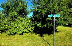 4th St E, Graceville, MN 56240