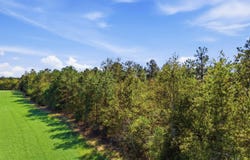 Martin Smith Road, Gilbert, SC 29054