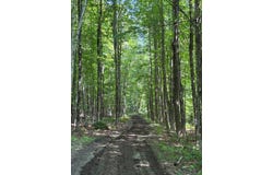 139 Wildlife Lane, New Sharon, ME 04955