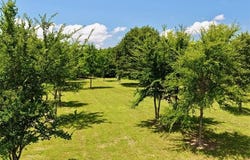 108531 S 4130 Road, Checotah, OK 74426
