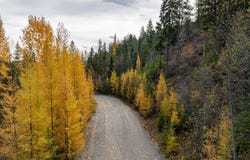 Lot 1 Braden Estates, Priest River, ID 83856