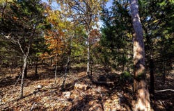 S 4497th Rd, Vian, OK 74962