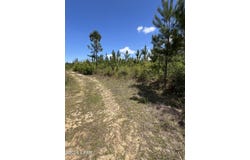 Goodman Hill Road, Chipley, FL 32428