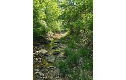 Cedar Gap Central Lane, Mansfield, MO 65704