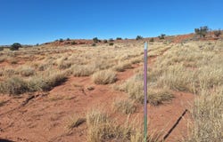 8028 Dawn Star Trail, Snowflake, AZ 85937