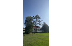 9936 S Louise St, Dafter, MI 49724