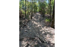 N Hwy 244, Summers, AR 72769