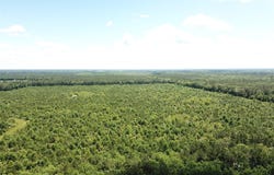 County Road 4223, Simms, TX 75574