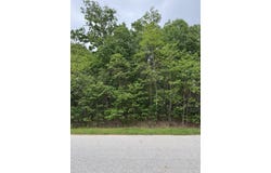 Vacant Lot 565 E, DeMotte, IN 46310