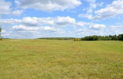 Juneberry Drive, Park Rapids, MN 56470