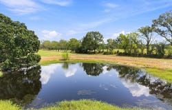 Rains County Road 2370, Alba, TX 75410