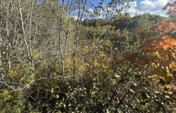 11&15 Bagaduce Lane, Sedgwick, ME 04676