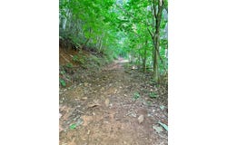 75 Fork Creek Road, Saluda, NC 28773