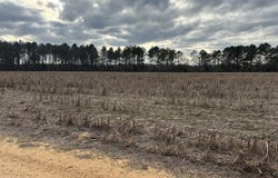 Hwy 80, Tyler, AL 36785